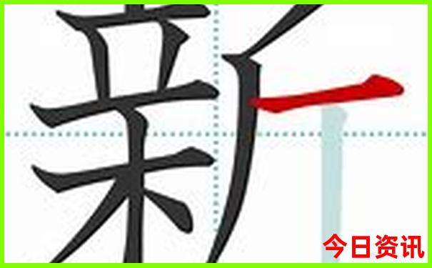 女网排名前十名最新名单
